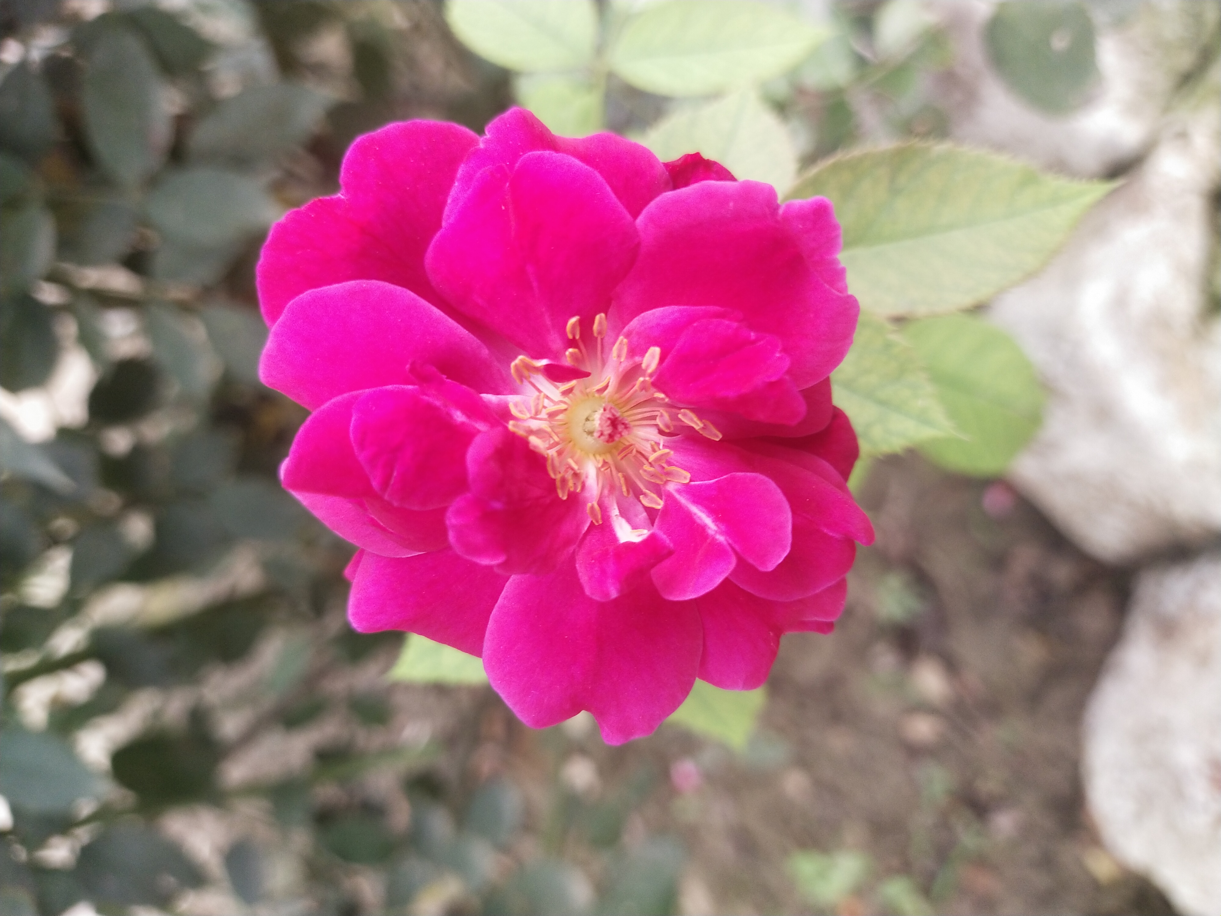 IMG_20210921_082226.jpg