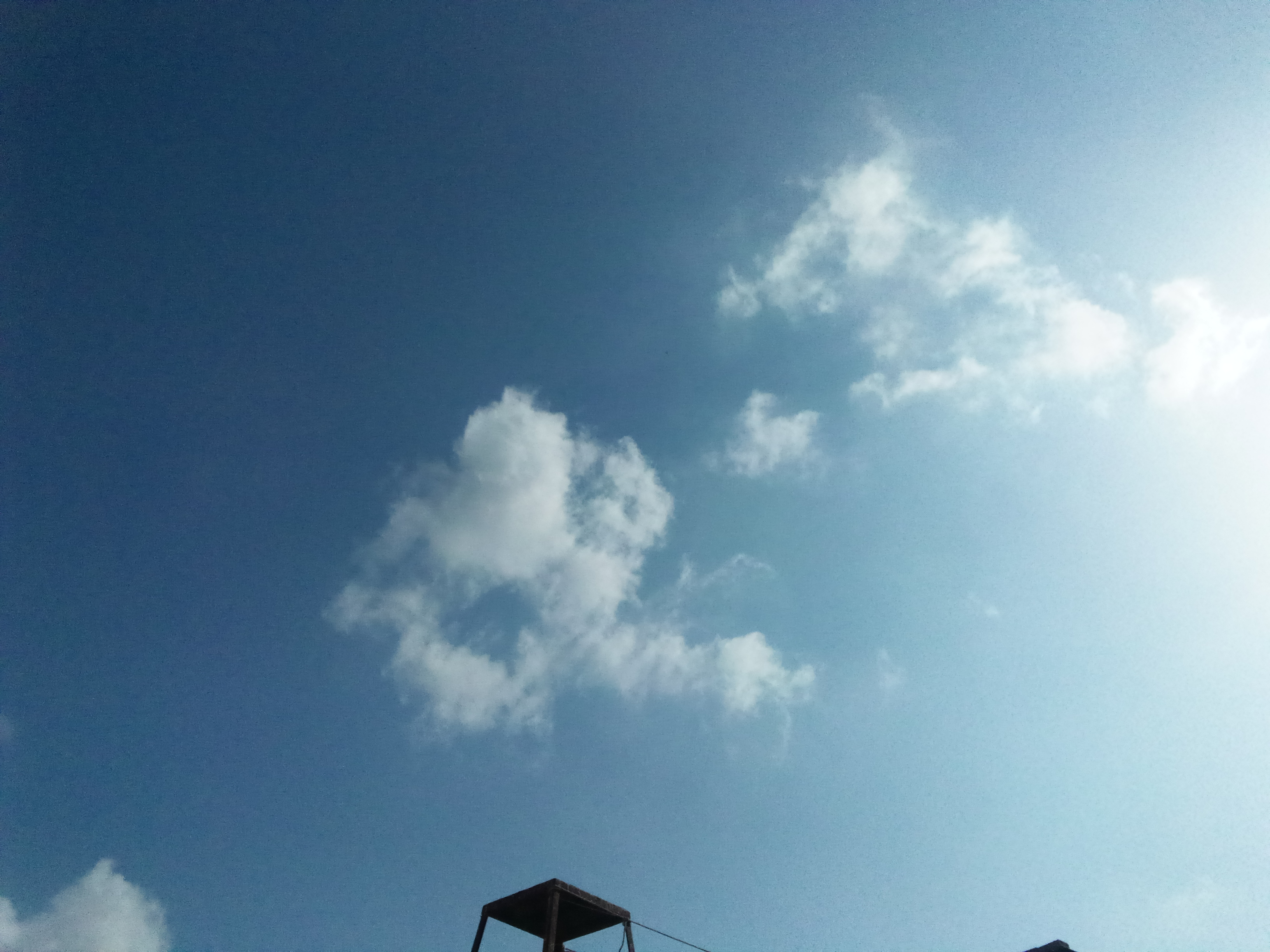 IMG_20260515_083458_204.jpg