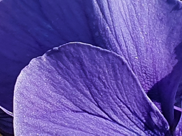purple-reykholt-artfabrik.jpg