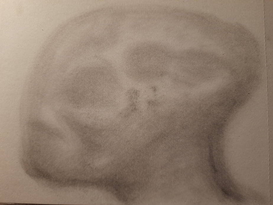 20260701_101955.jpg