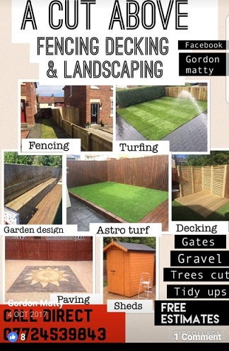 Back garden 2.jpg