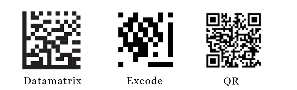 5656989.jpg