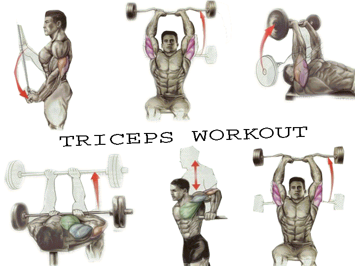 Six best and used triceps exercise. — Steemit