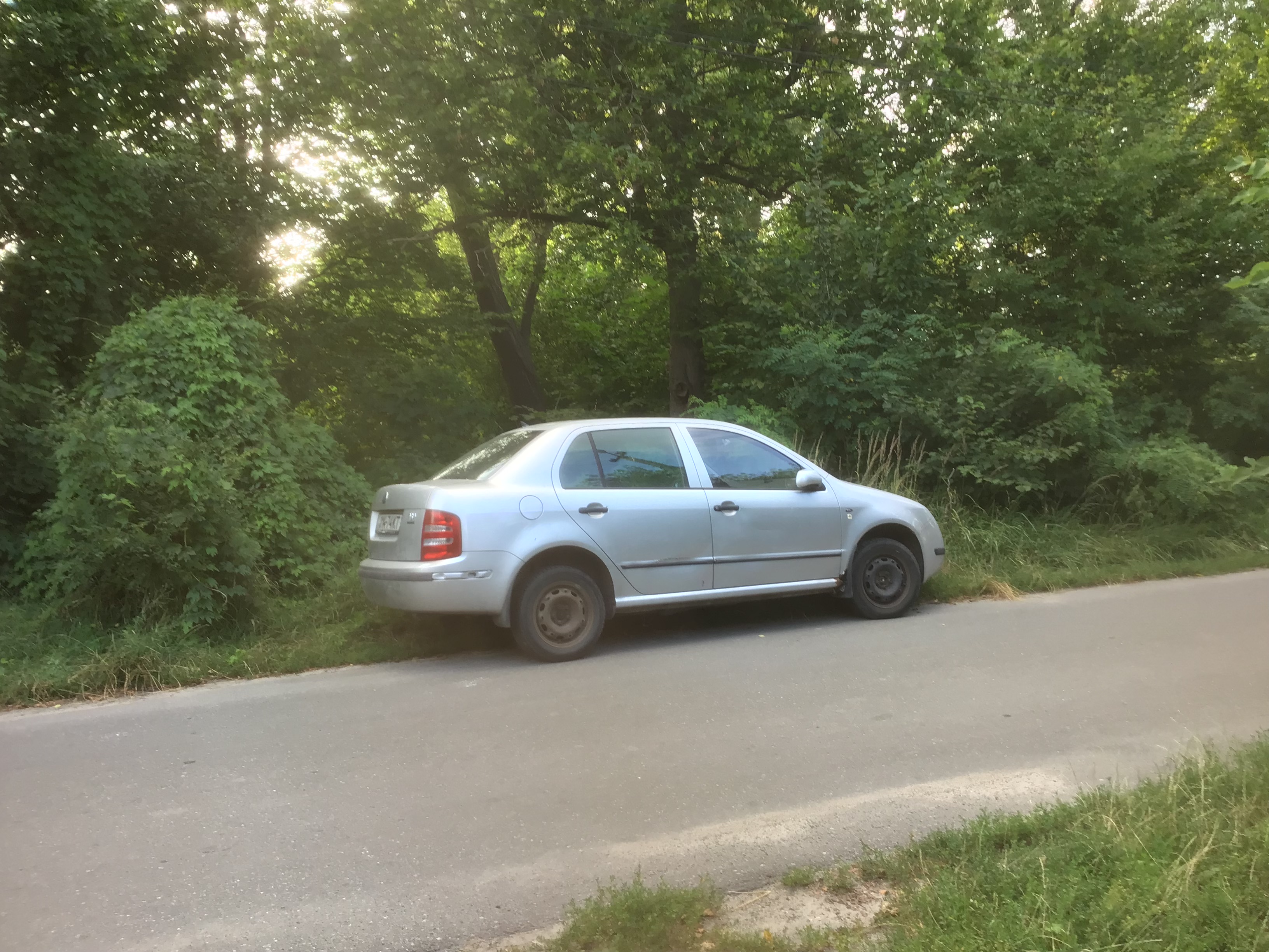 IMG_6226.jpeg