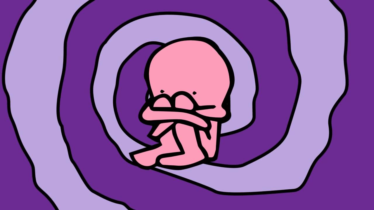 maxresdefault.jpg