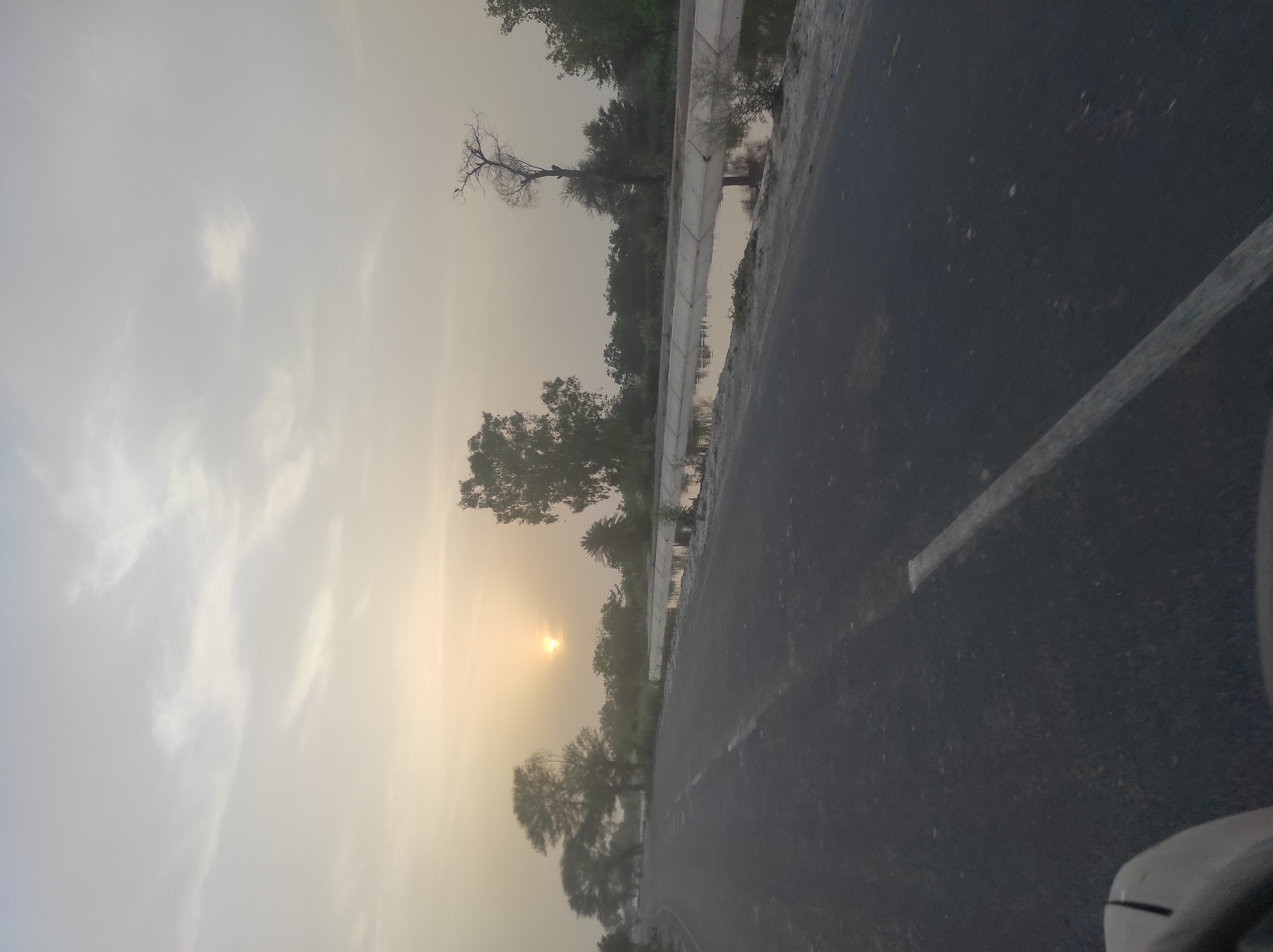 IMG_20210611_183815.jpg