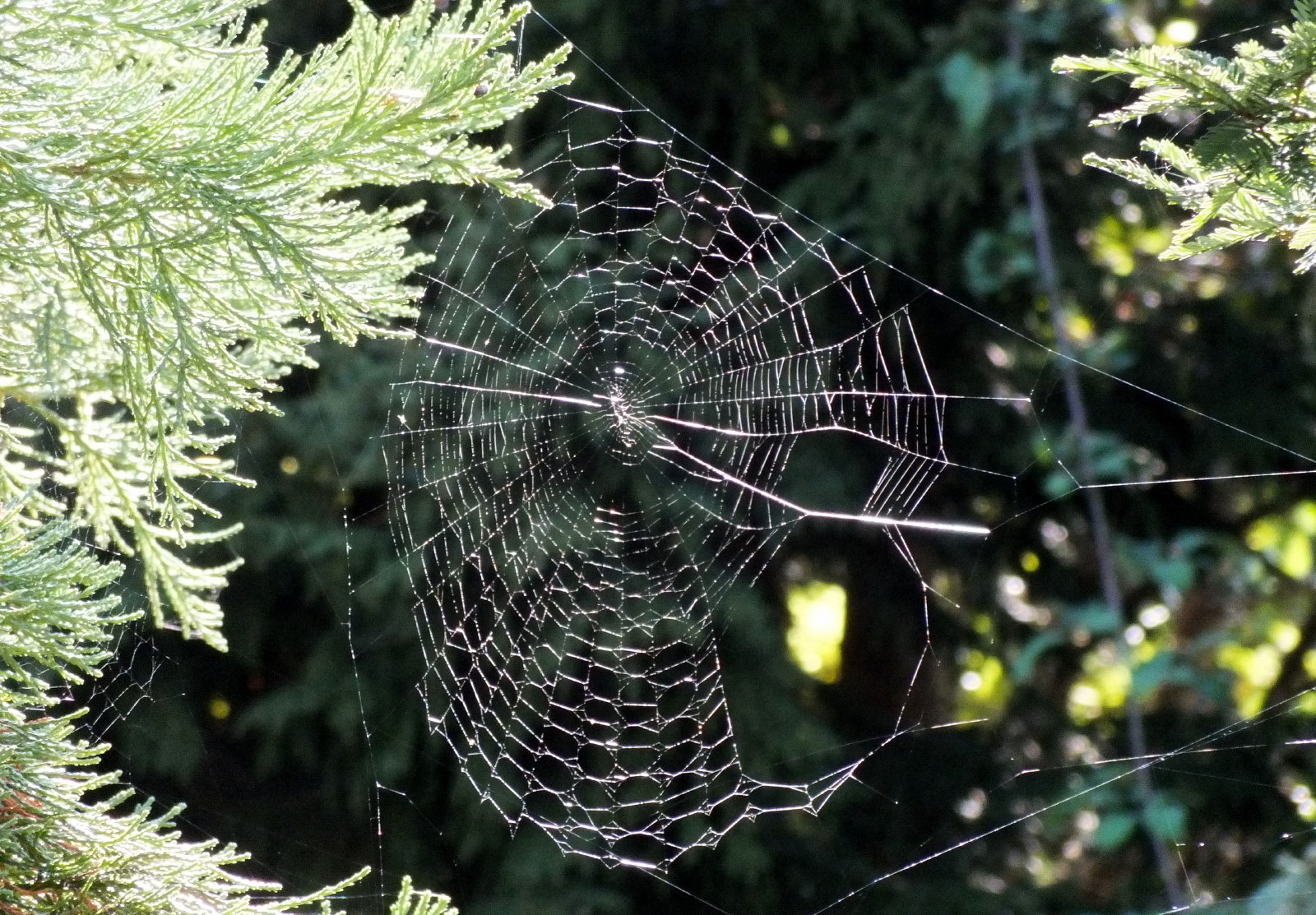x112-Web.jpg
