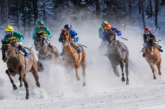 horse-racing-4018609_640.jpg