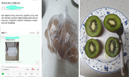 아이스키위.png