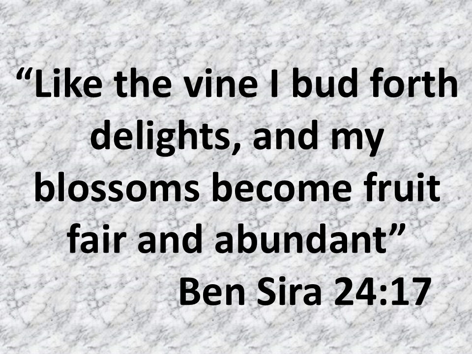 God & the wisdom. Like the vine I bud forth delights, and my blossoms become fruit fair and abundant. Ben Sira 24,17.jpg