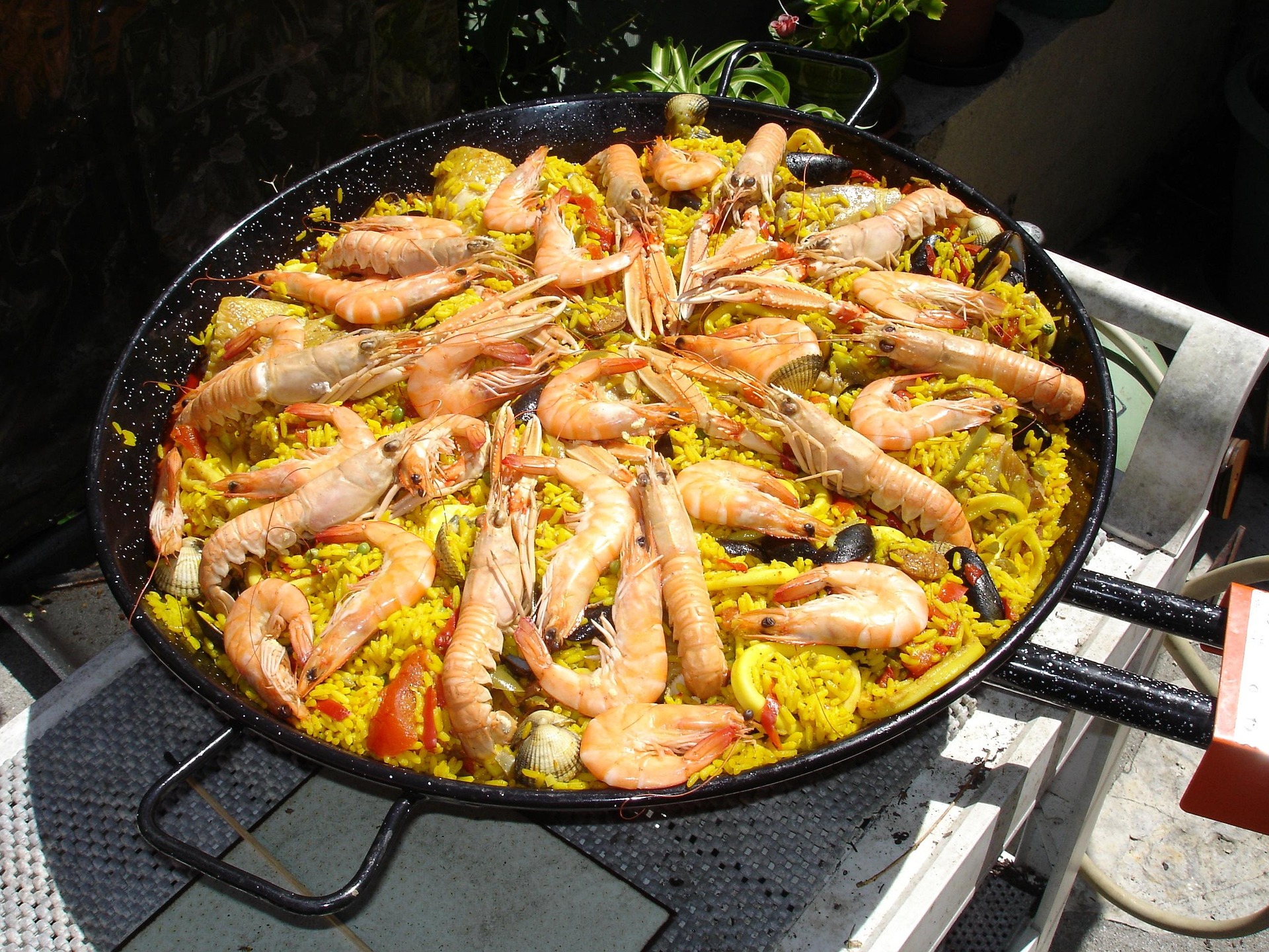 rryioutt-cuisine-1740965_1920.jpg