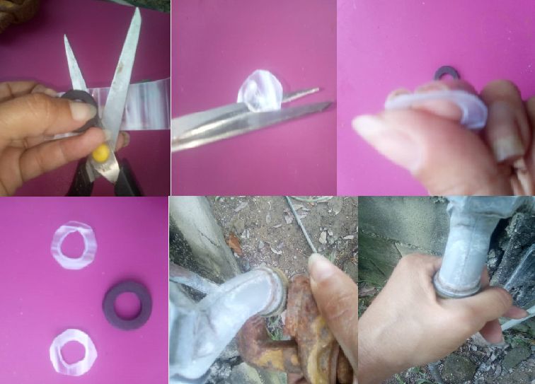 segunda fotografia.png