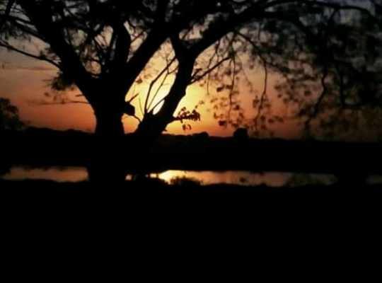 Screenshot_20210414-212833-1.jpg