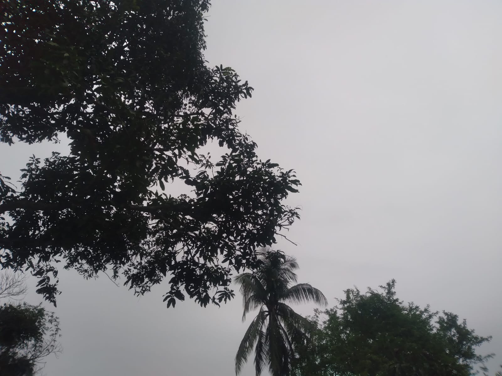 40139.jpg