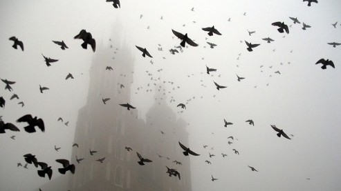 main_image