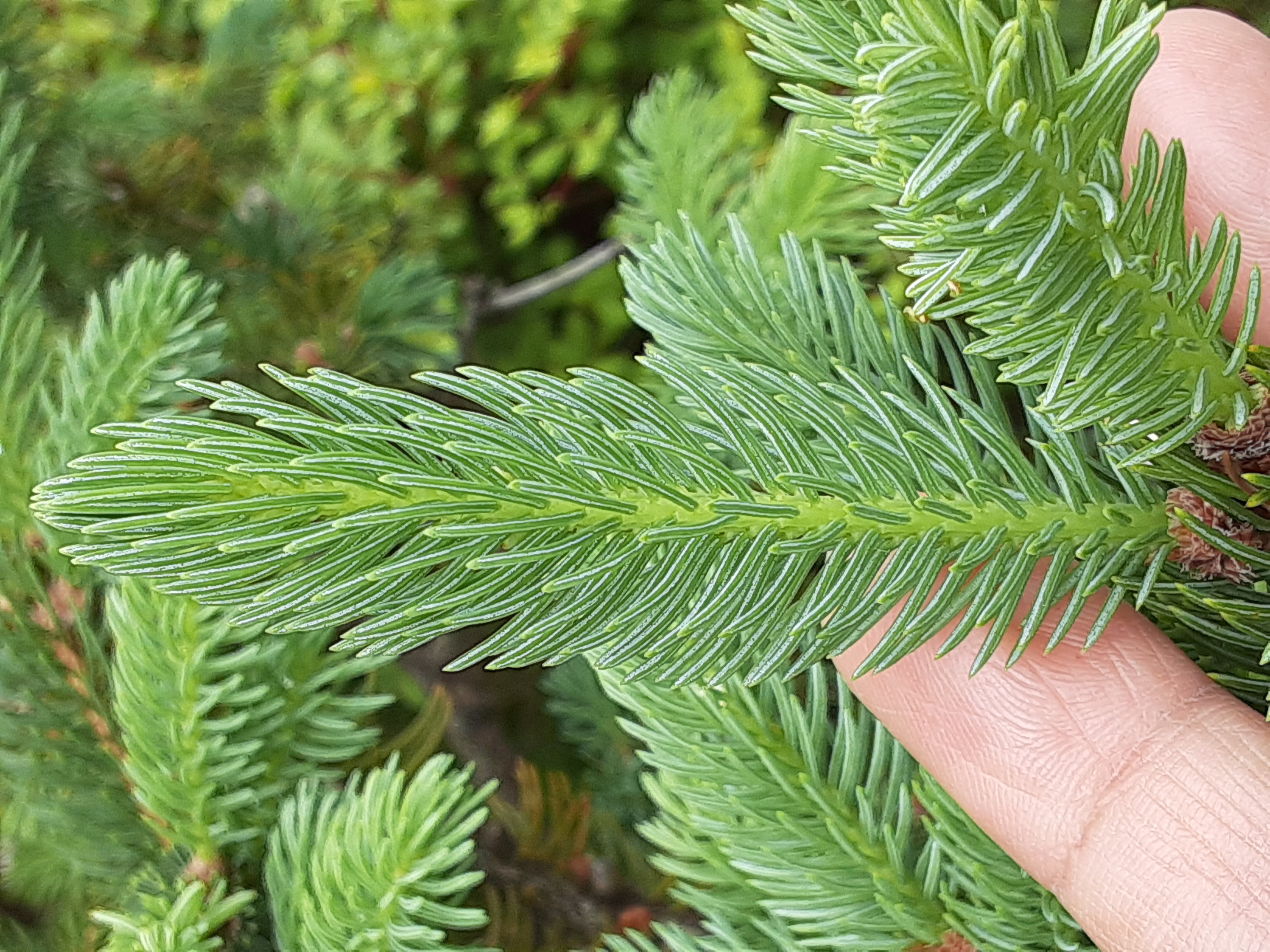 20220502_080356.jpg