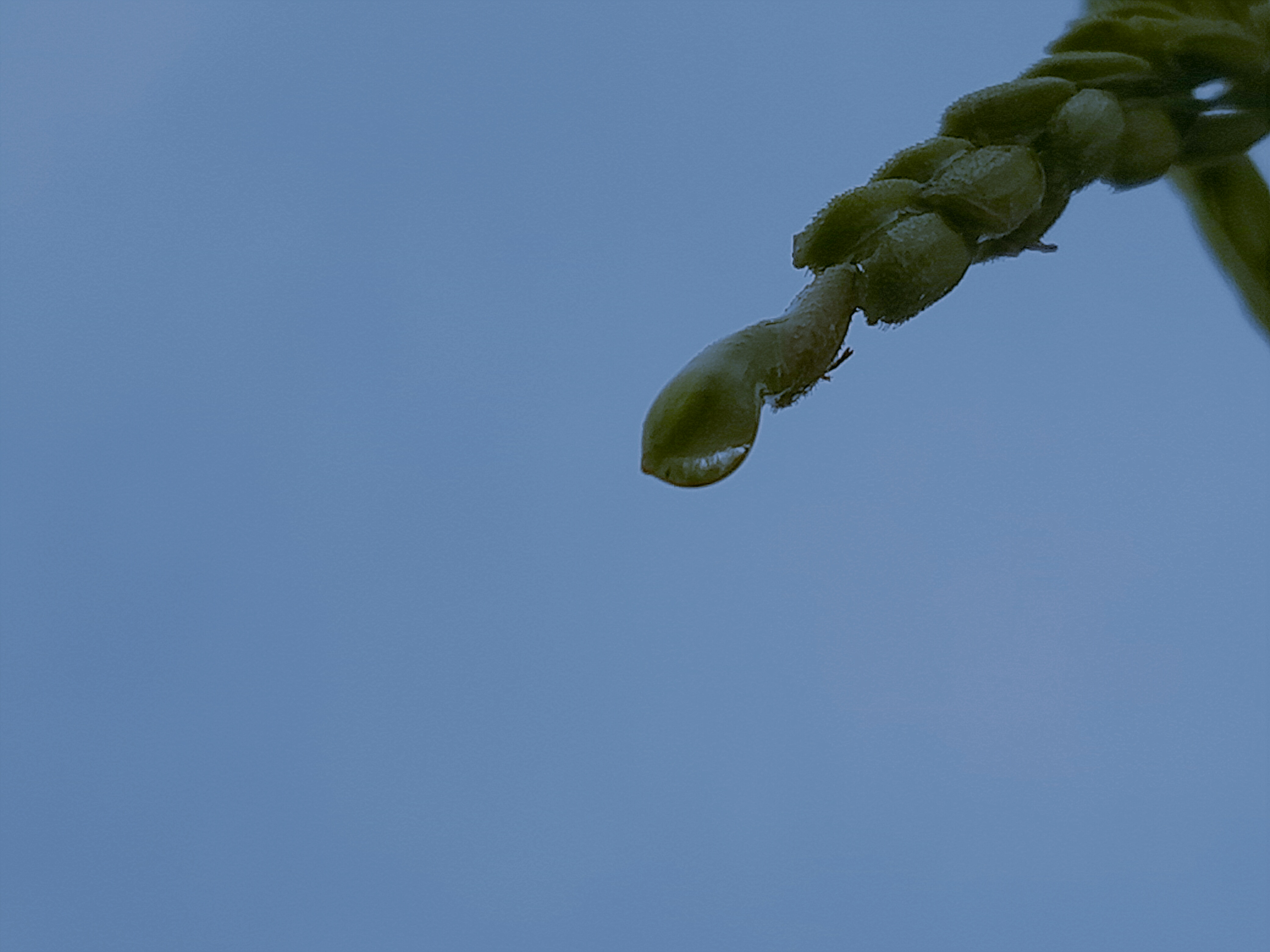 2019-09-30-11-14-02.jpg