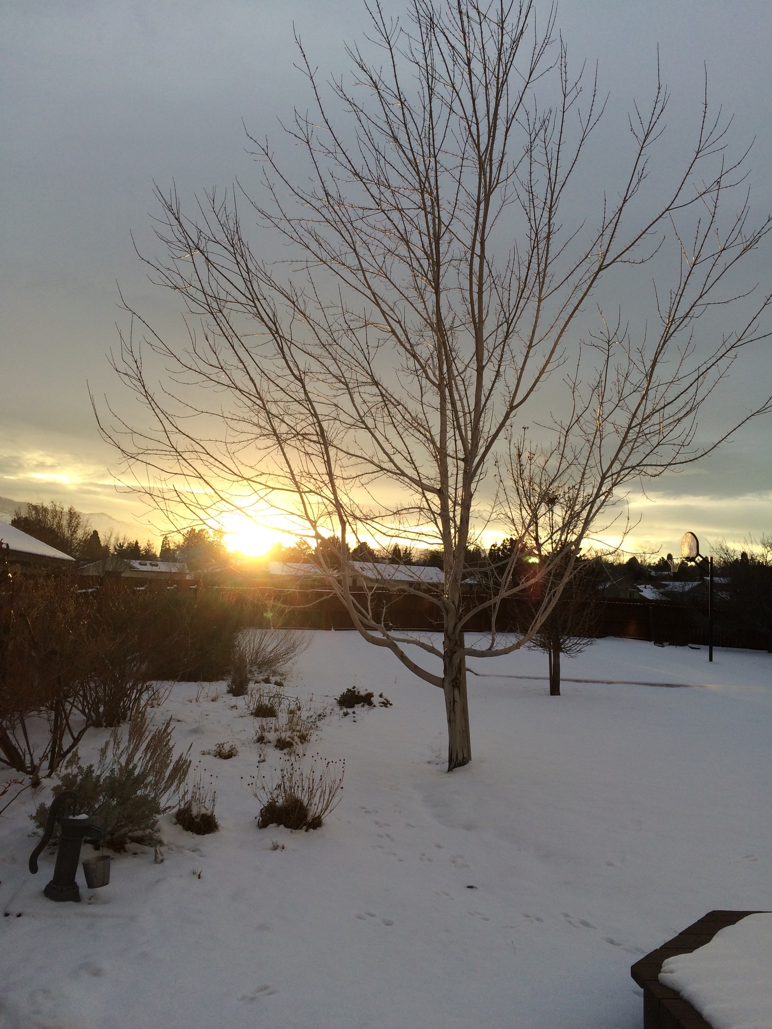 0132DF69-9574-4CCE-BC55-DE6B0557B82D.jpeg