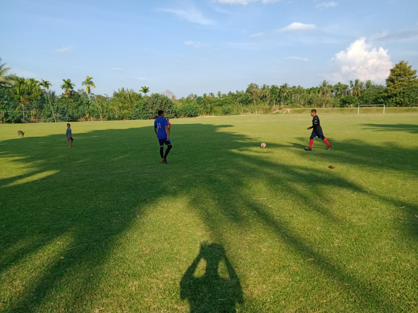 IMG202109037165913.jpg