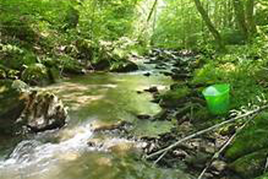 P57.jpg