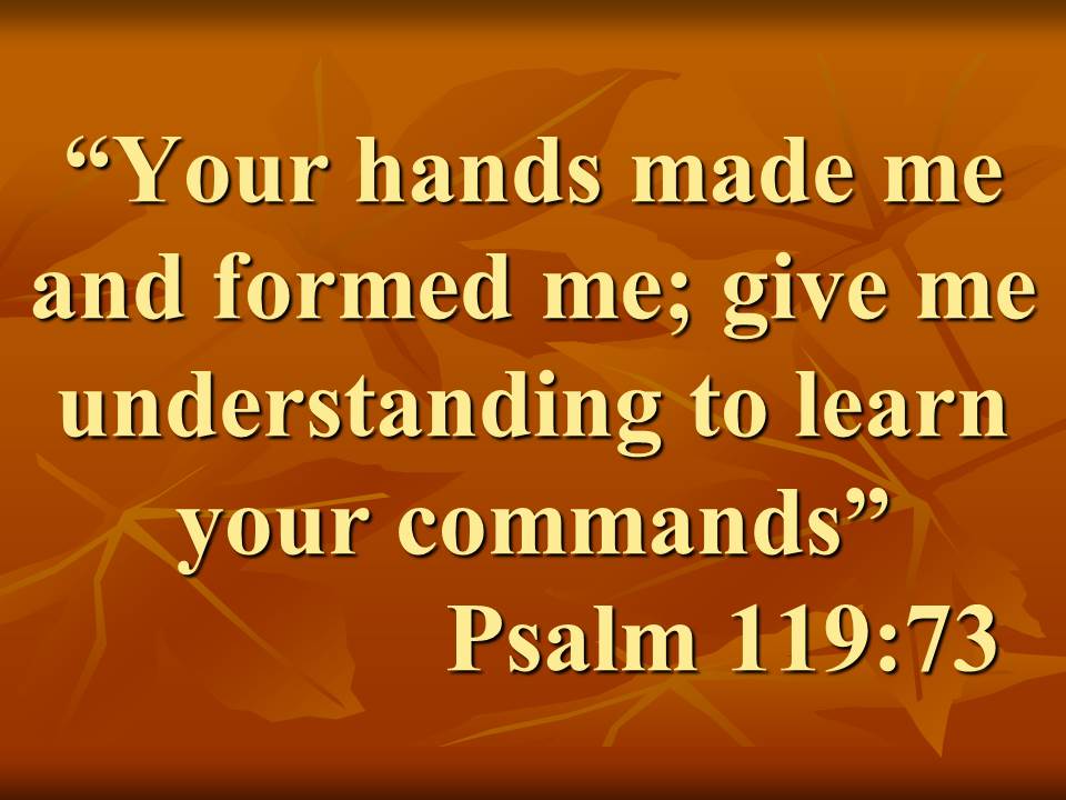 Law and Wisdom in the Bible. Your hands made me and formed me; give me understanding to learn your commands. Psalm 119,73.jpg