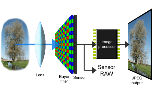 FiltrodeBayer.gif