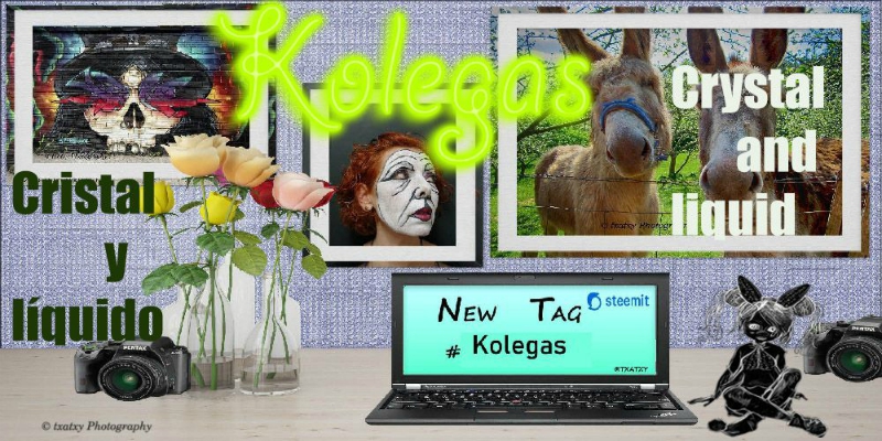kolegas.jpg