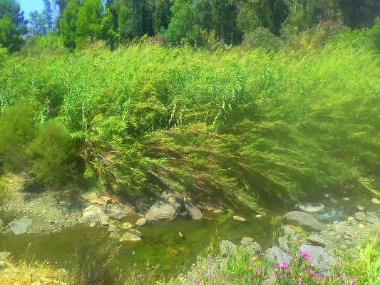 P_20190814_141459_HDR.jpg