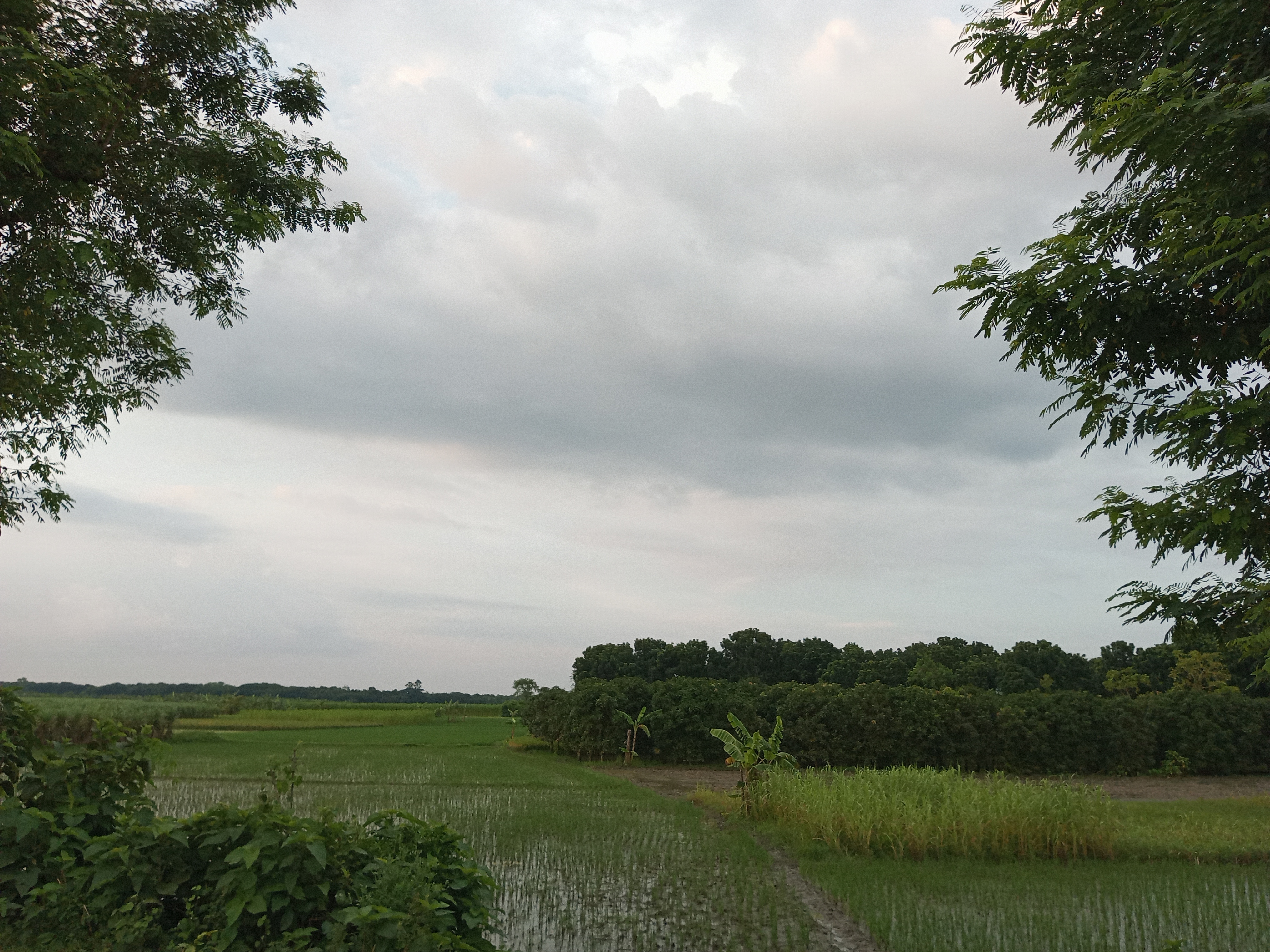 IMG_20250816_182500_468.jpg