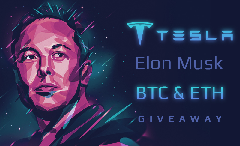 elonbtc.png