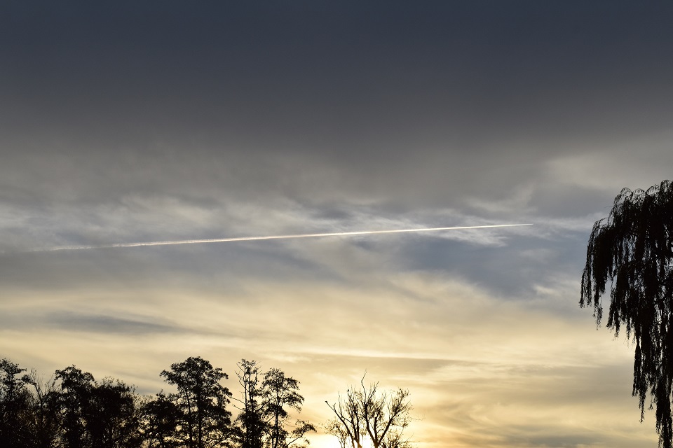 DSC_0193.jpg