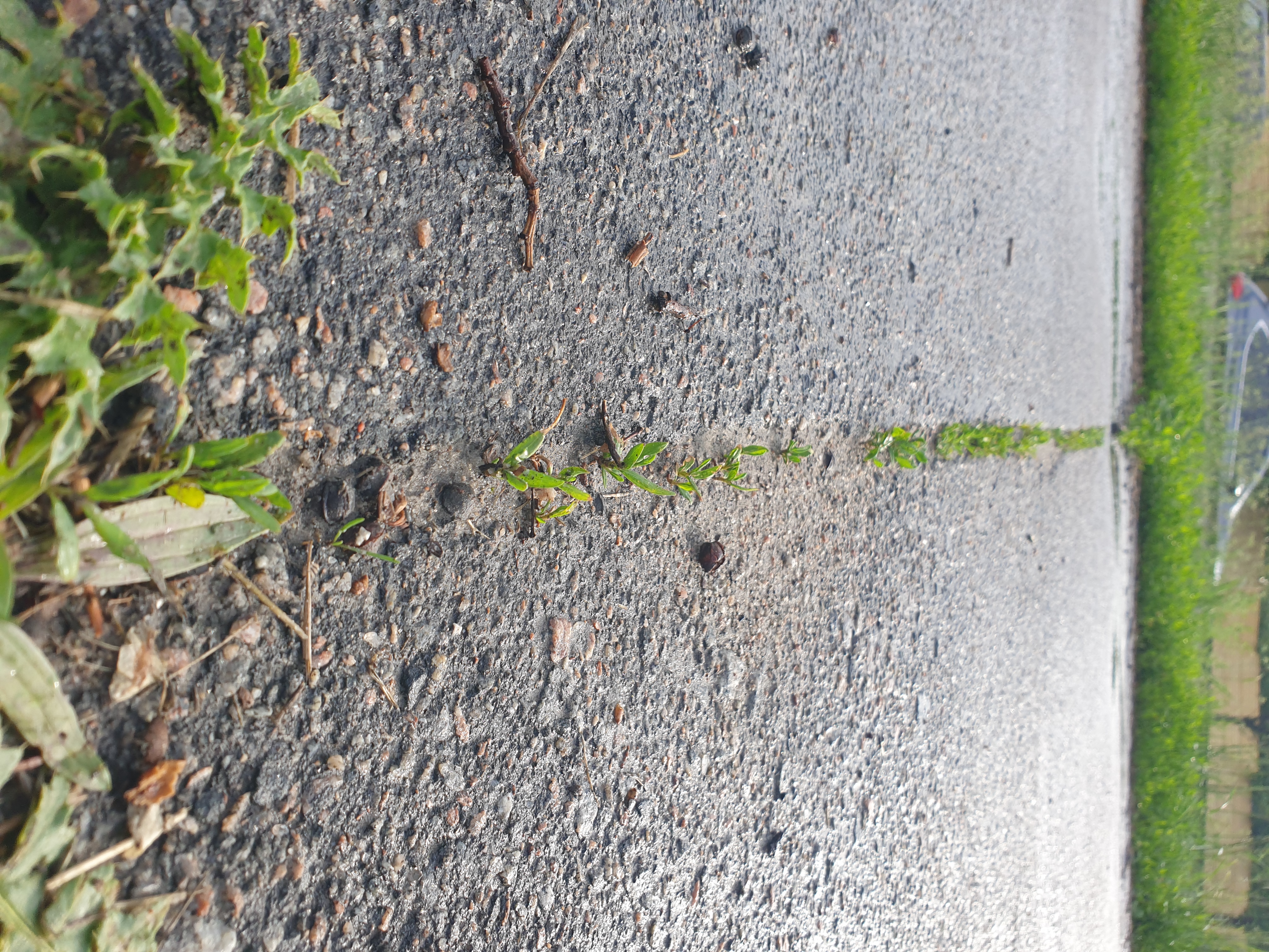 20250519_175612.jpg
