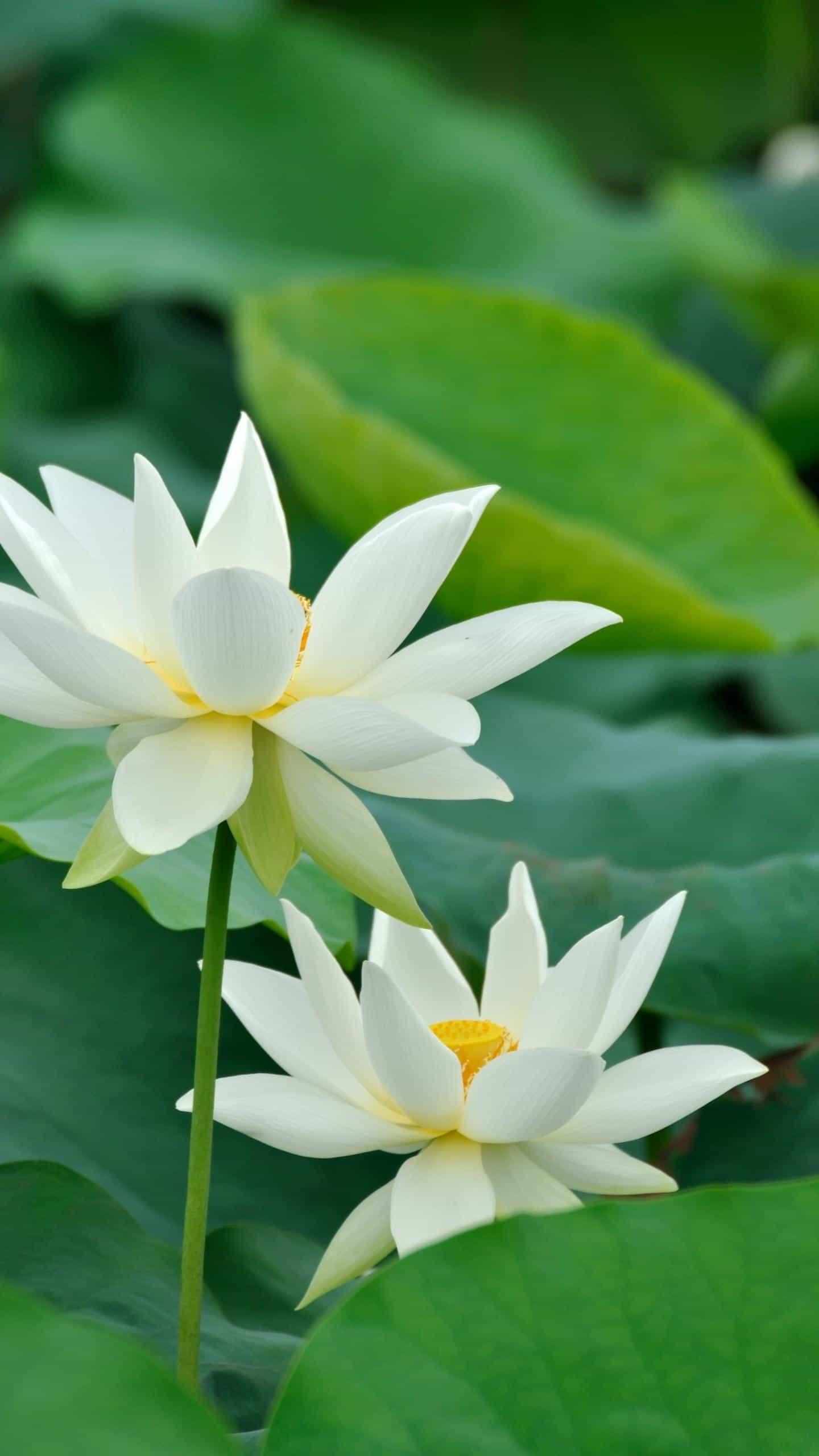 早了解早知道٩( •̀㉨•́ )و get！保险与你生活息息相关(7.2)