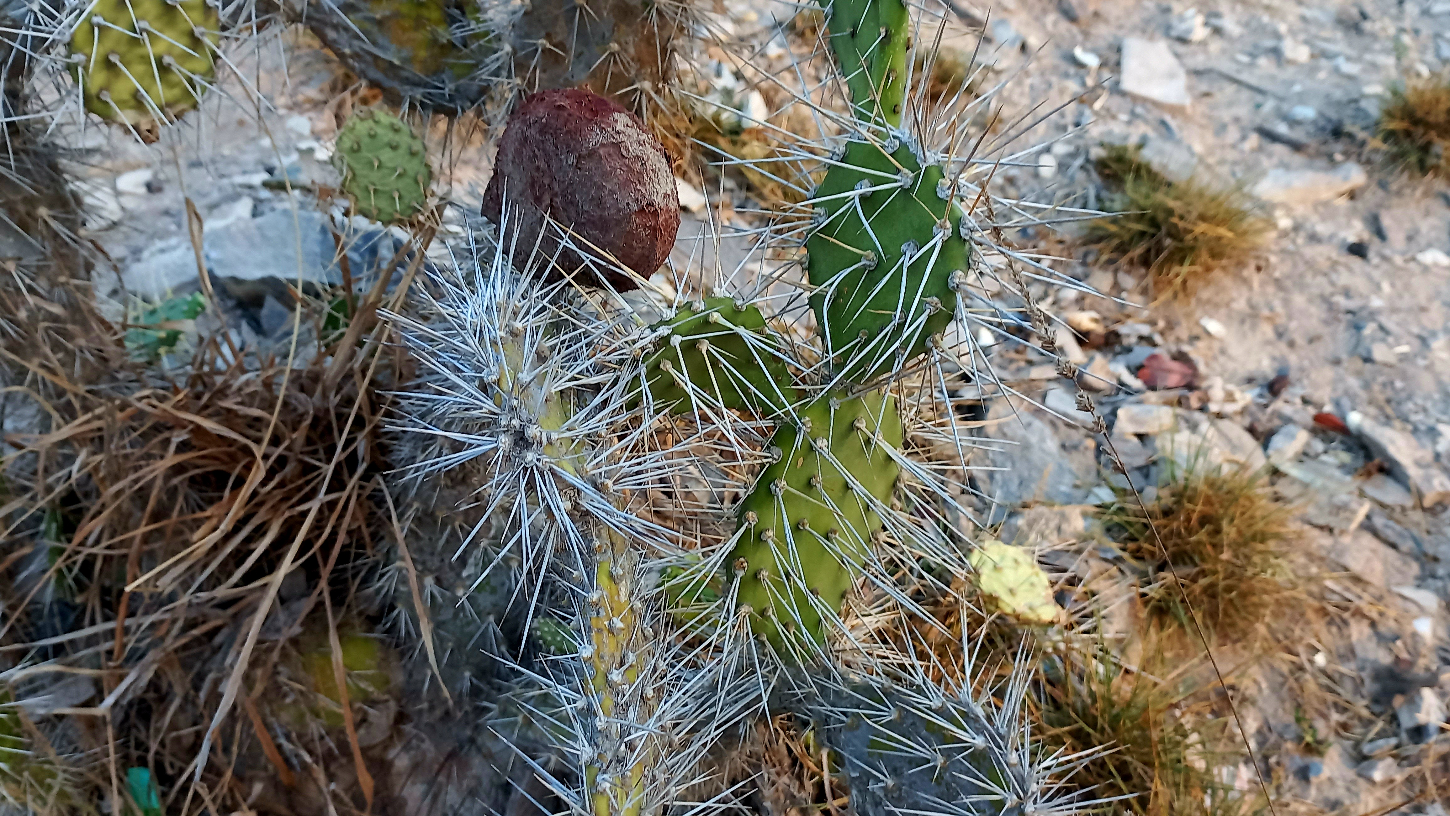 20260214_070451.jpg