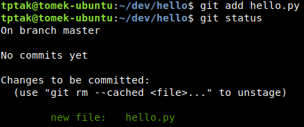 Adding hello.py to source control