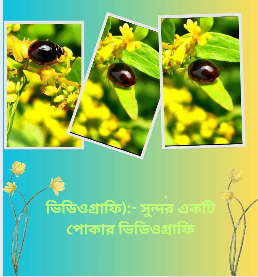 Screenshot_20240331-175327.jpg