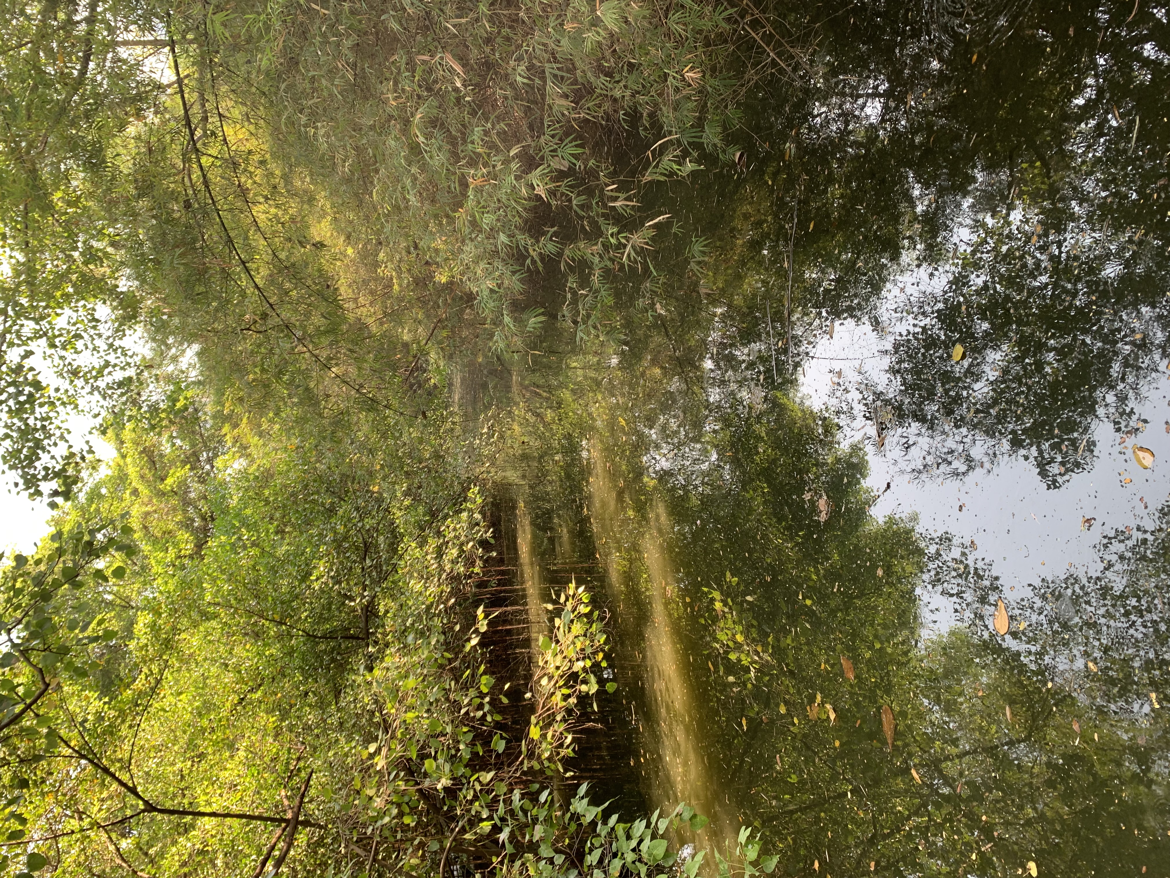Queen Sirikit Park4.jpg