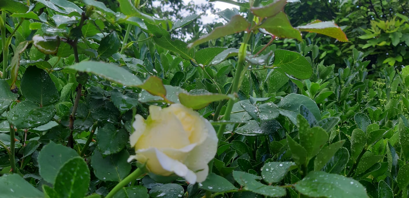 WhatsApp Image 2024-05-09 at 6.11.30 PM (2).jpeg