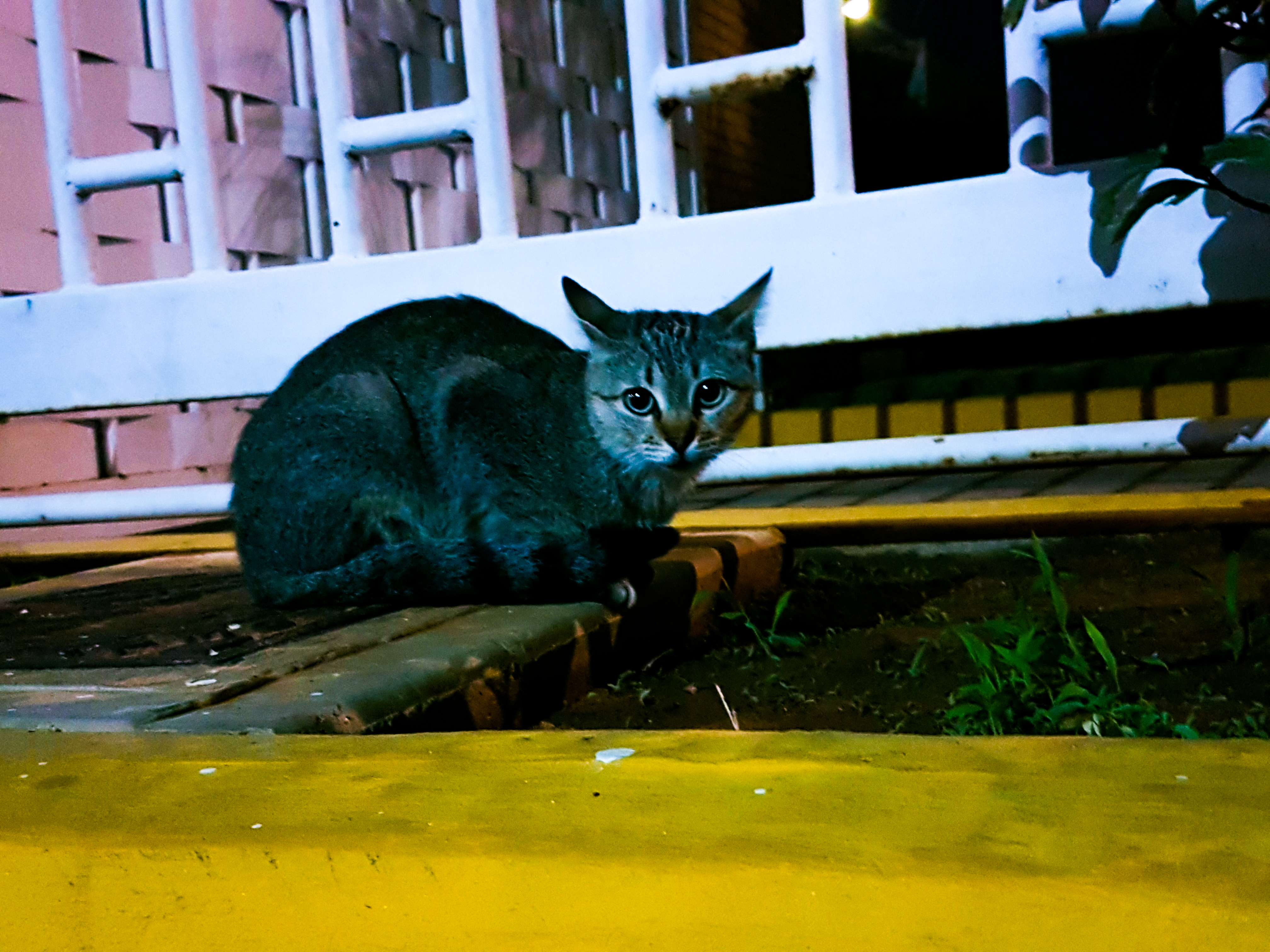 20211206_182922.jpg