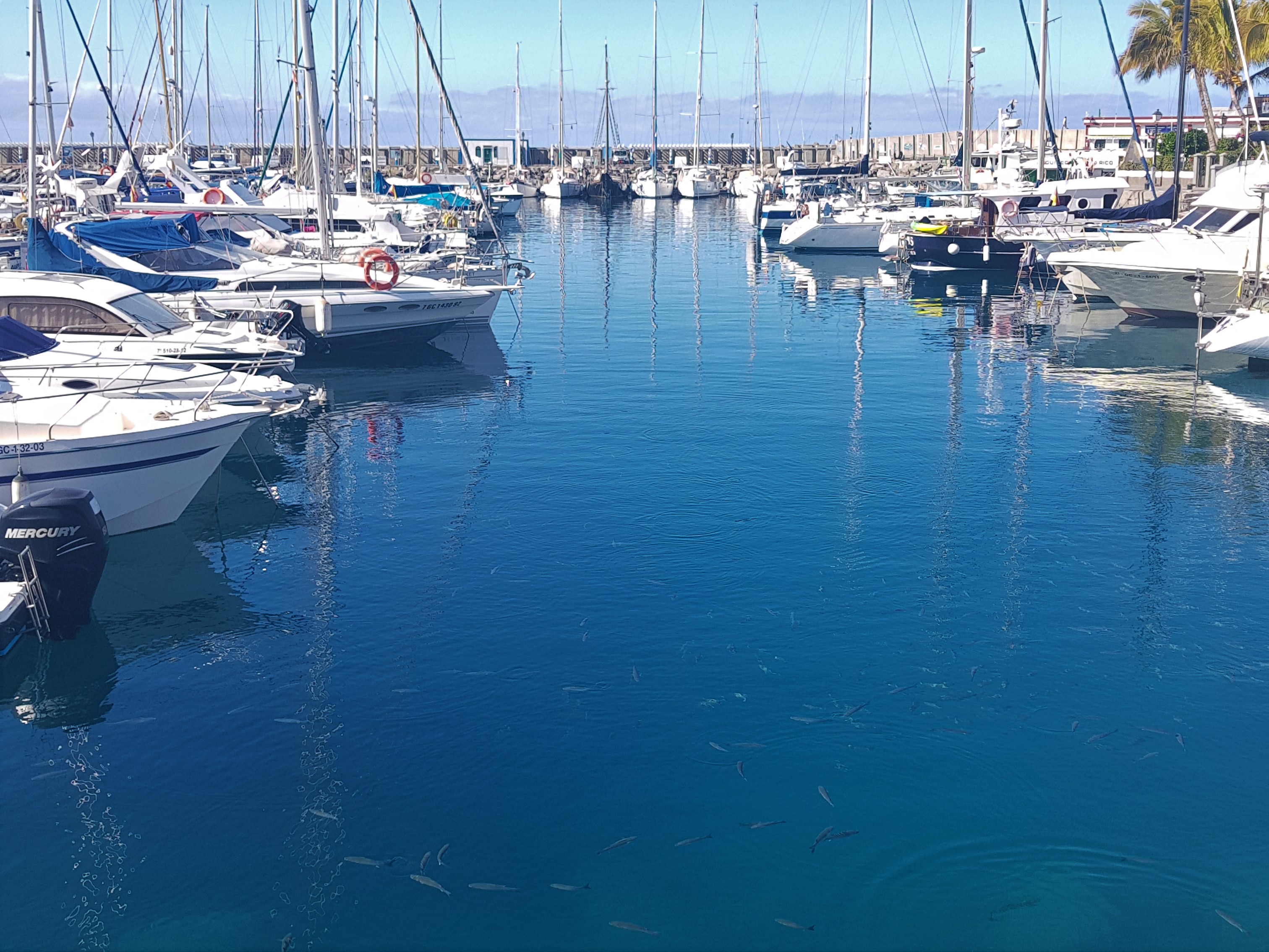 20180603_112001.jpg