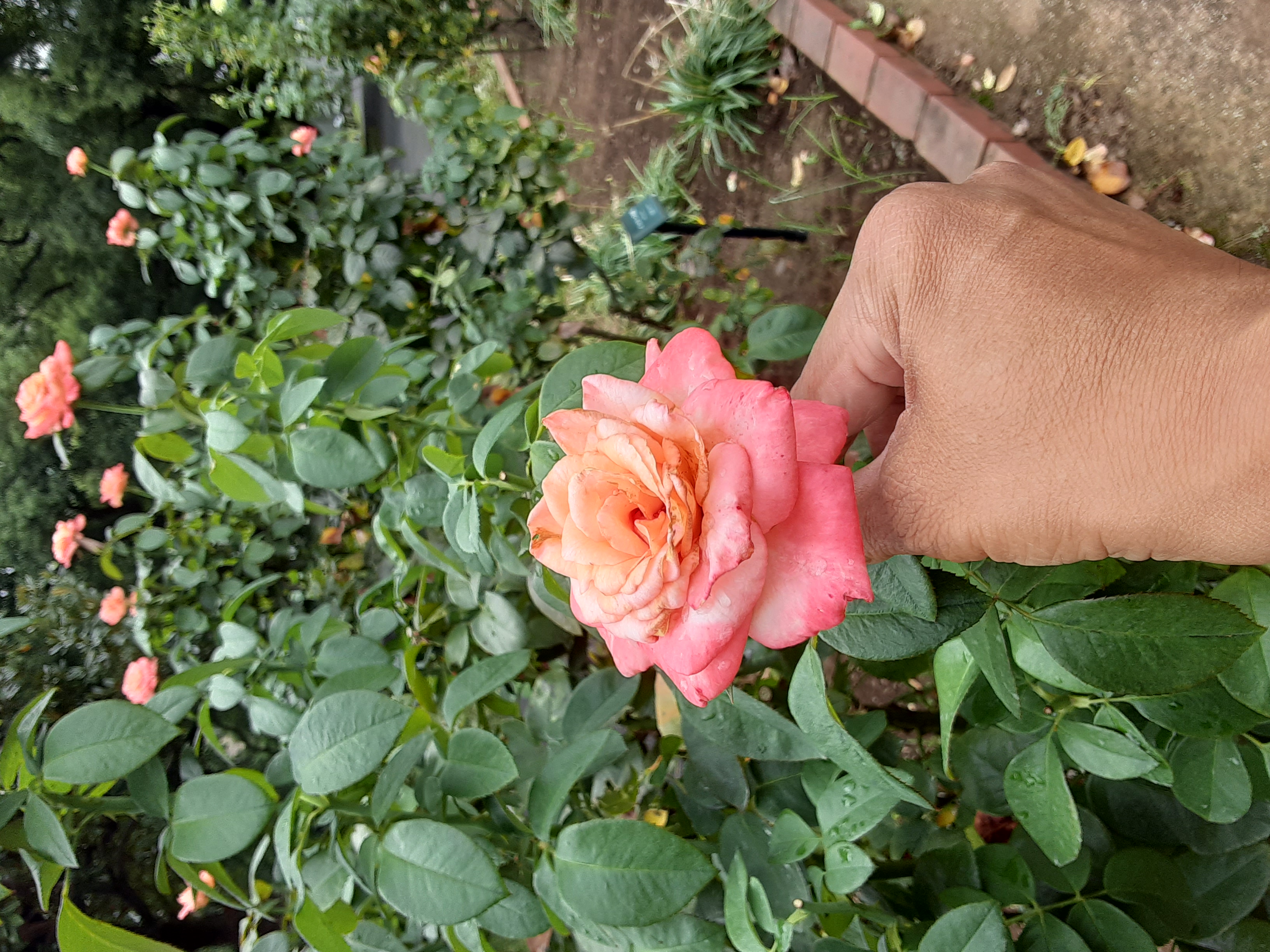 20241003_092456.jpg
