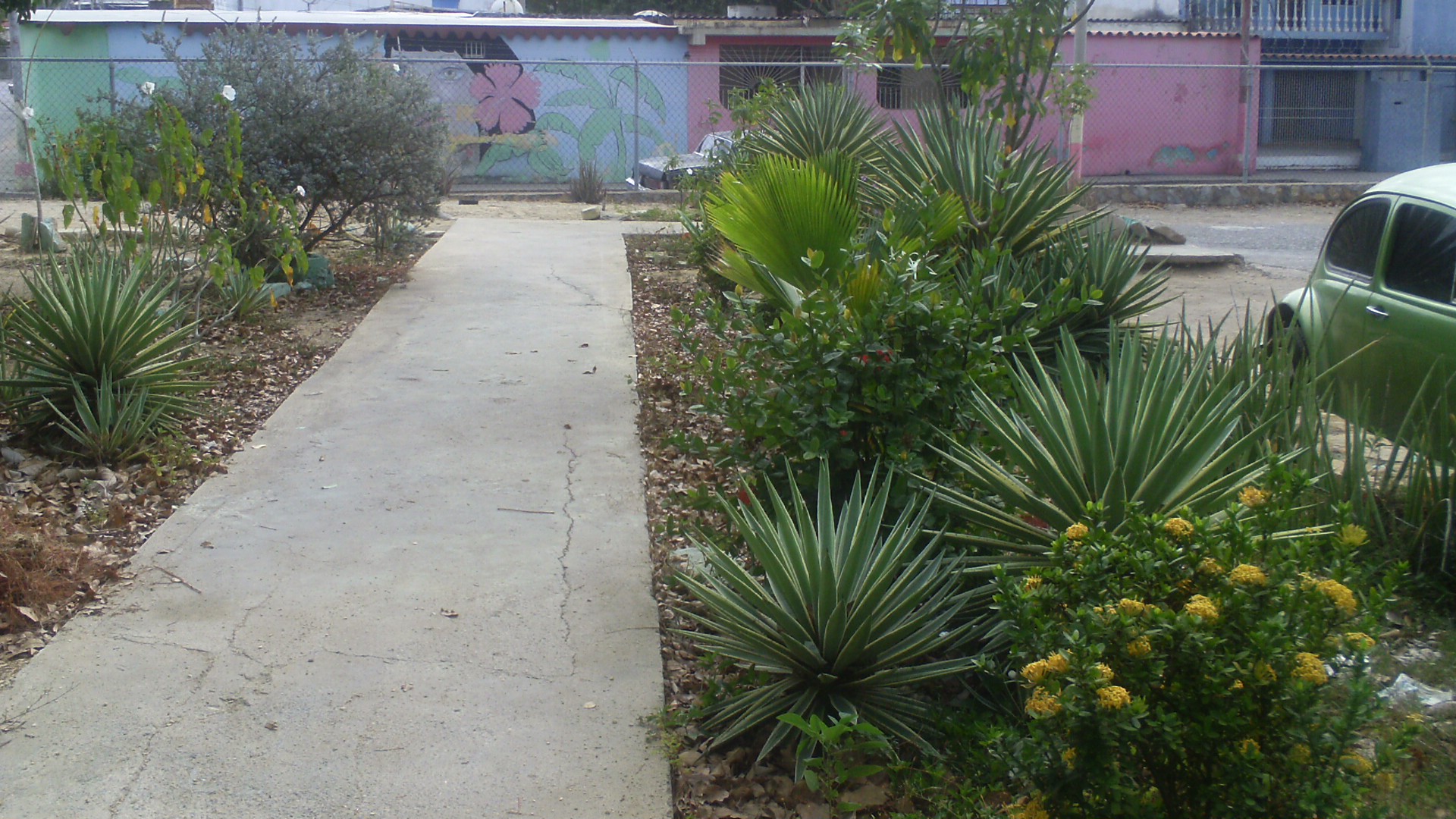 IMAG0020.JPG