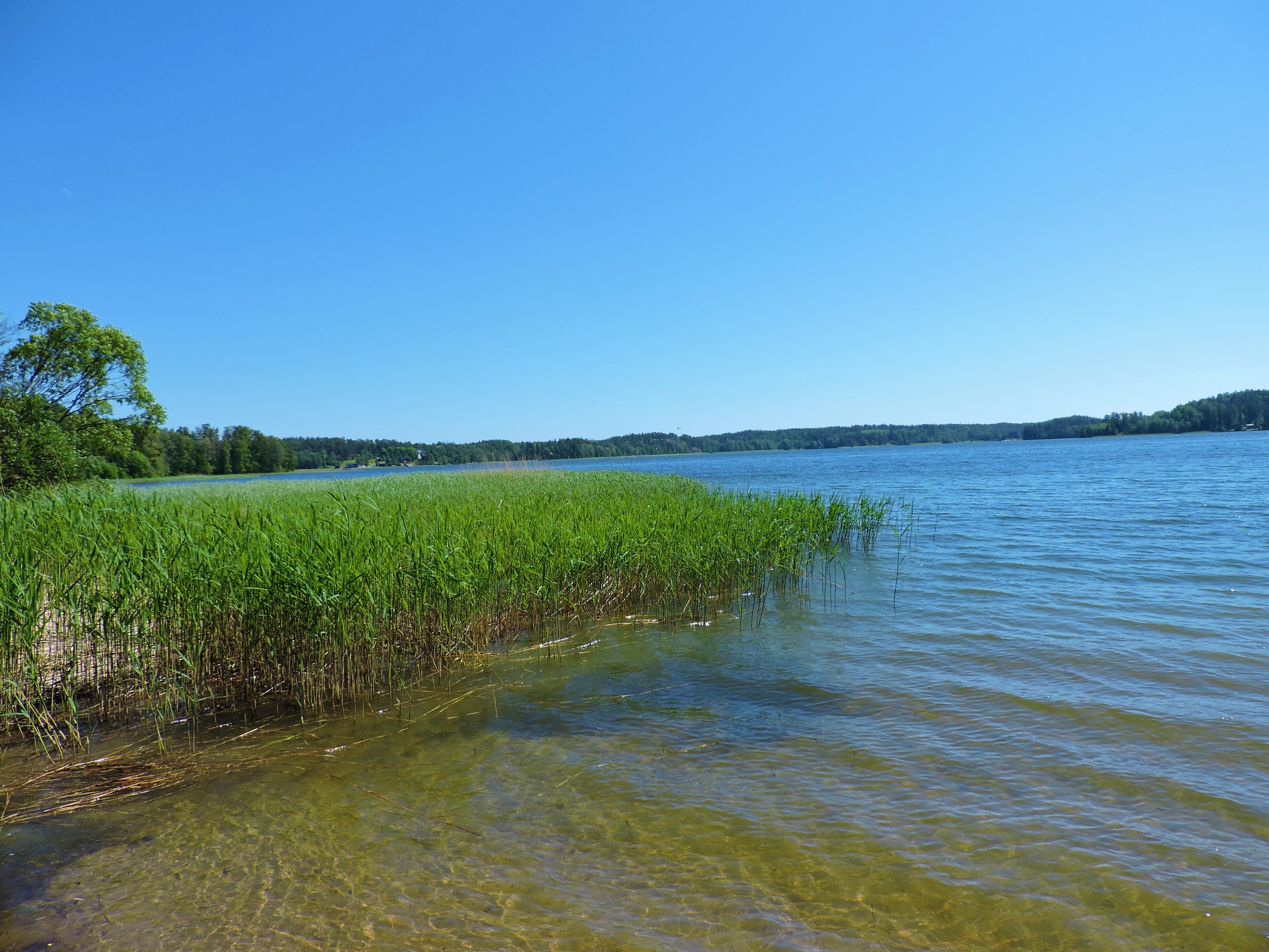 DSCN4639.JPG