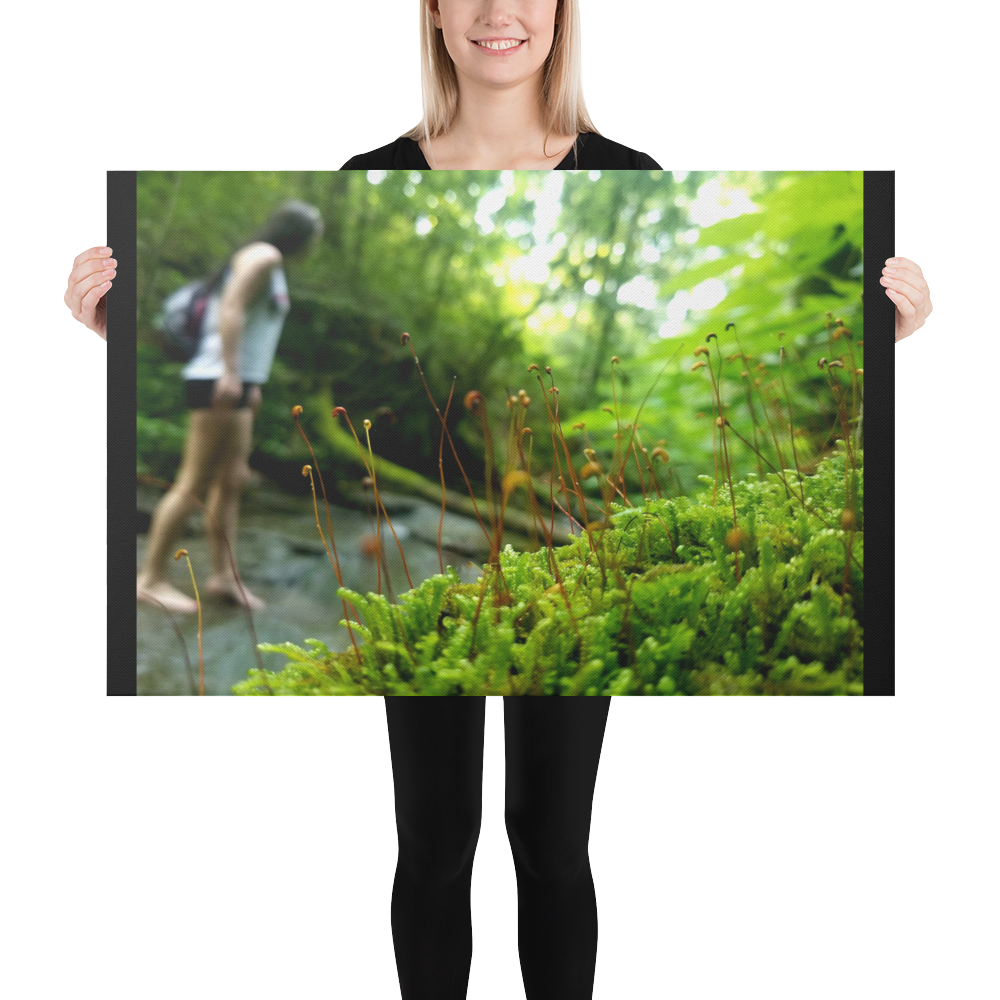 canvas-(in)-24x36-person-6390ff70ba750.png