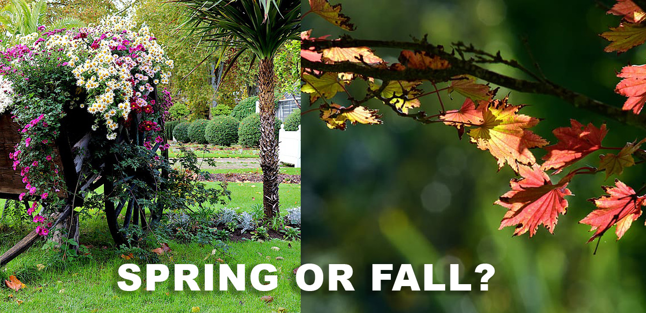 spring or fall.jpg