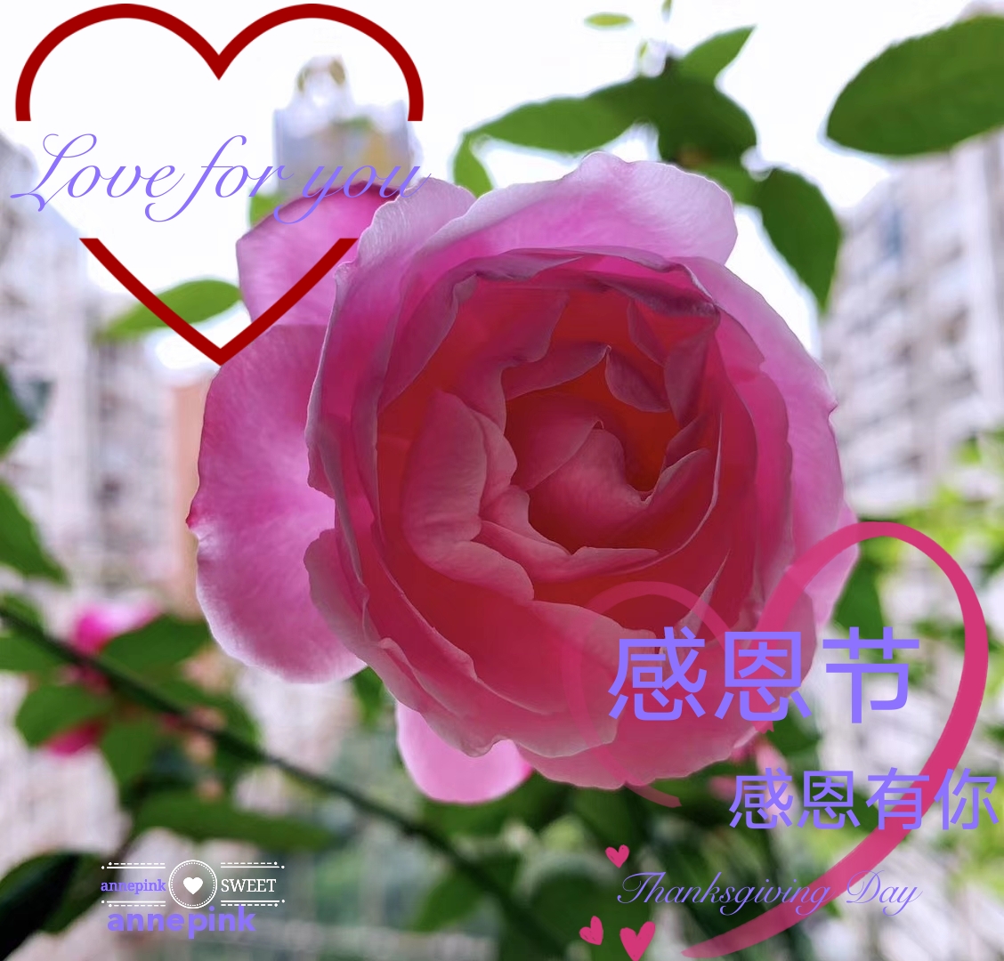 Thanksgiving day in our life💜 💜 我的爱对你说٩(๑^o^๑)۶