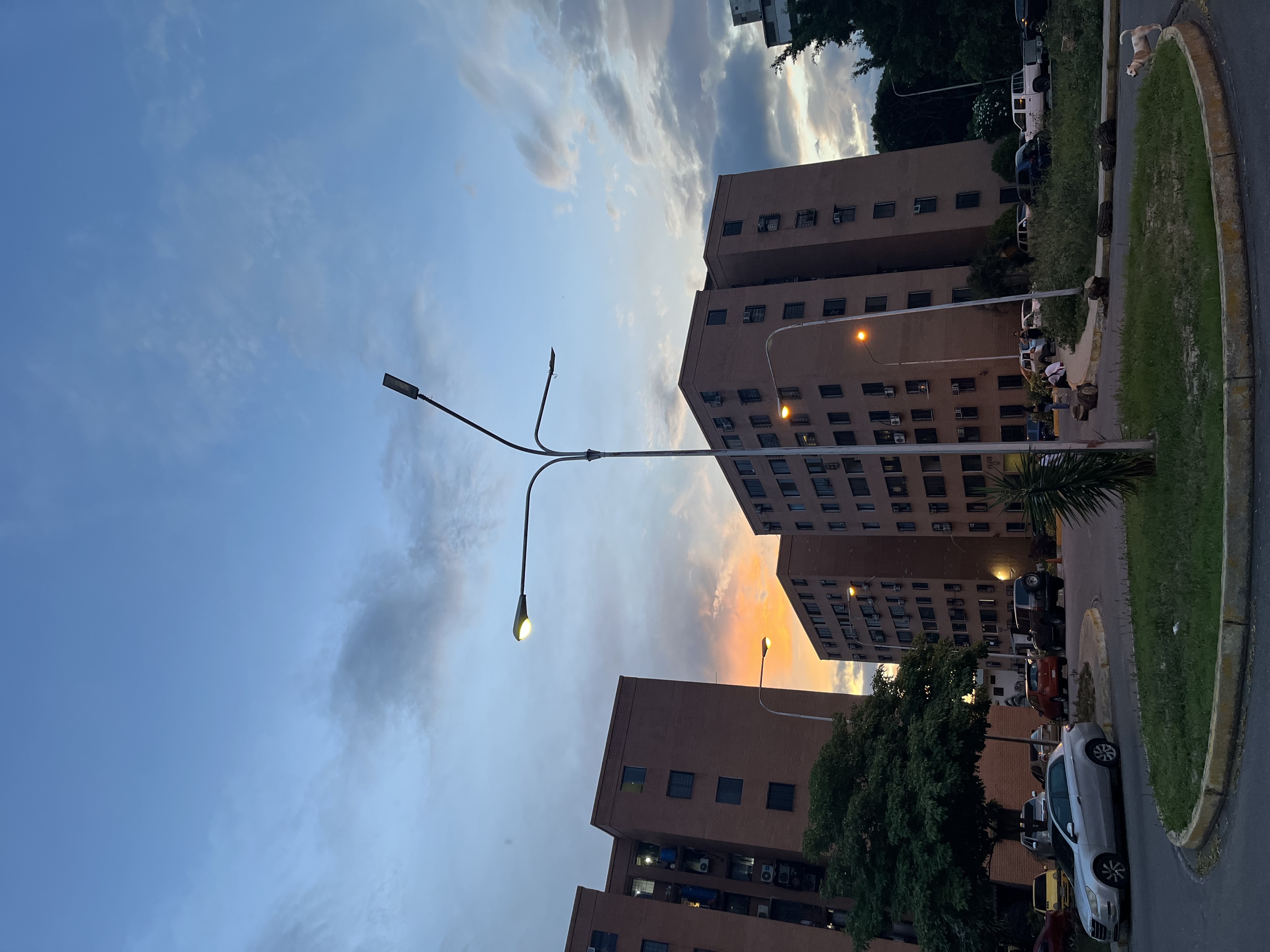 IMG_0267.jpeg