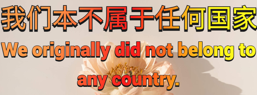 我们本不属于任何国家 (2).png