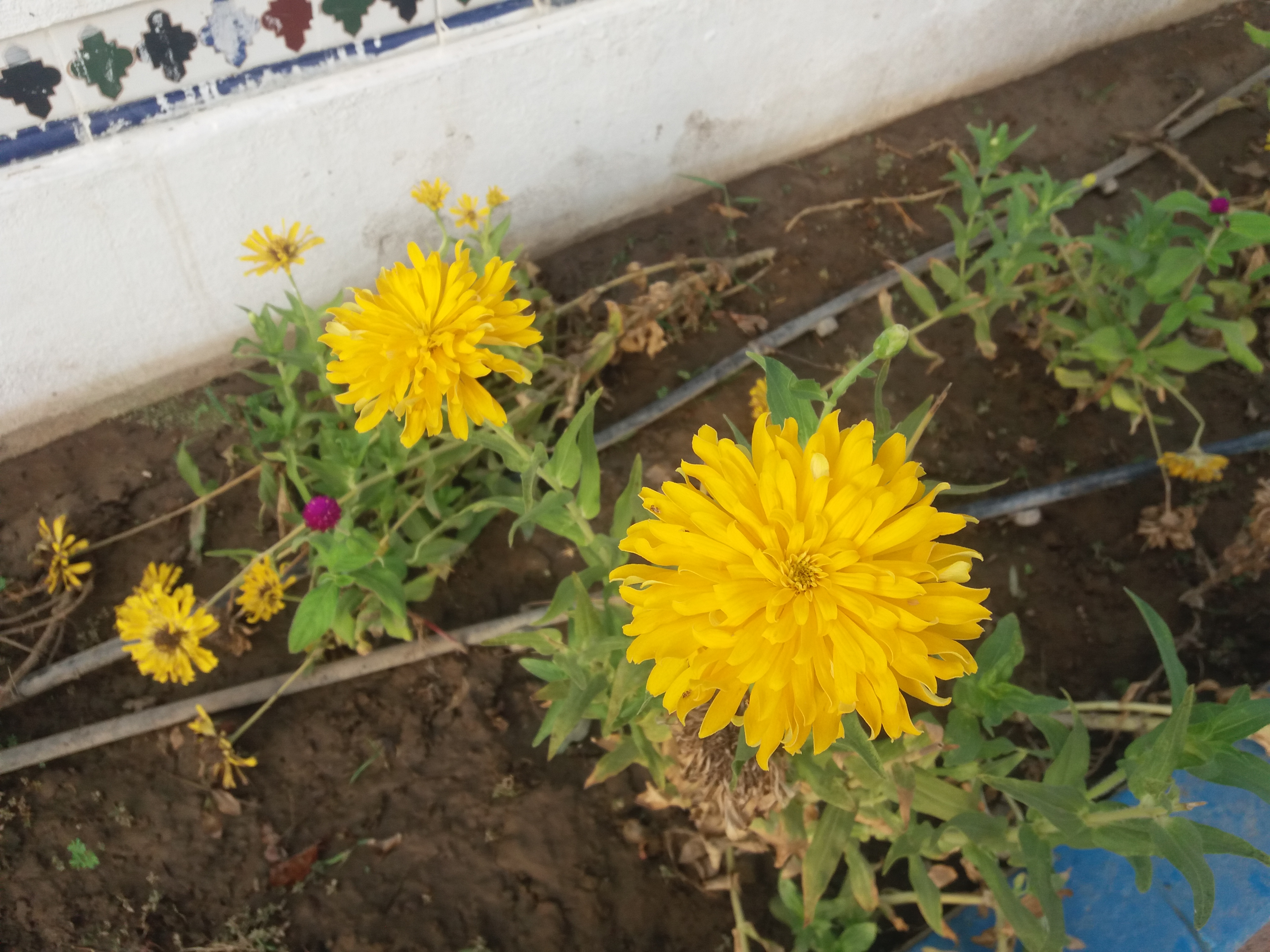 20190814_175145.jpg