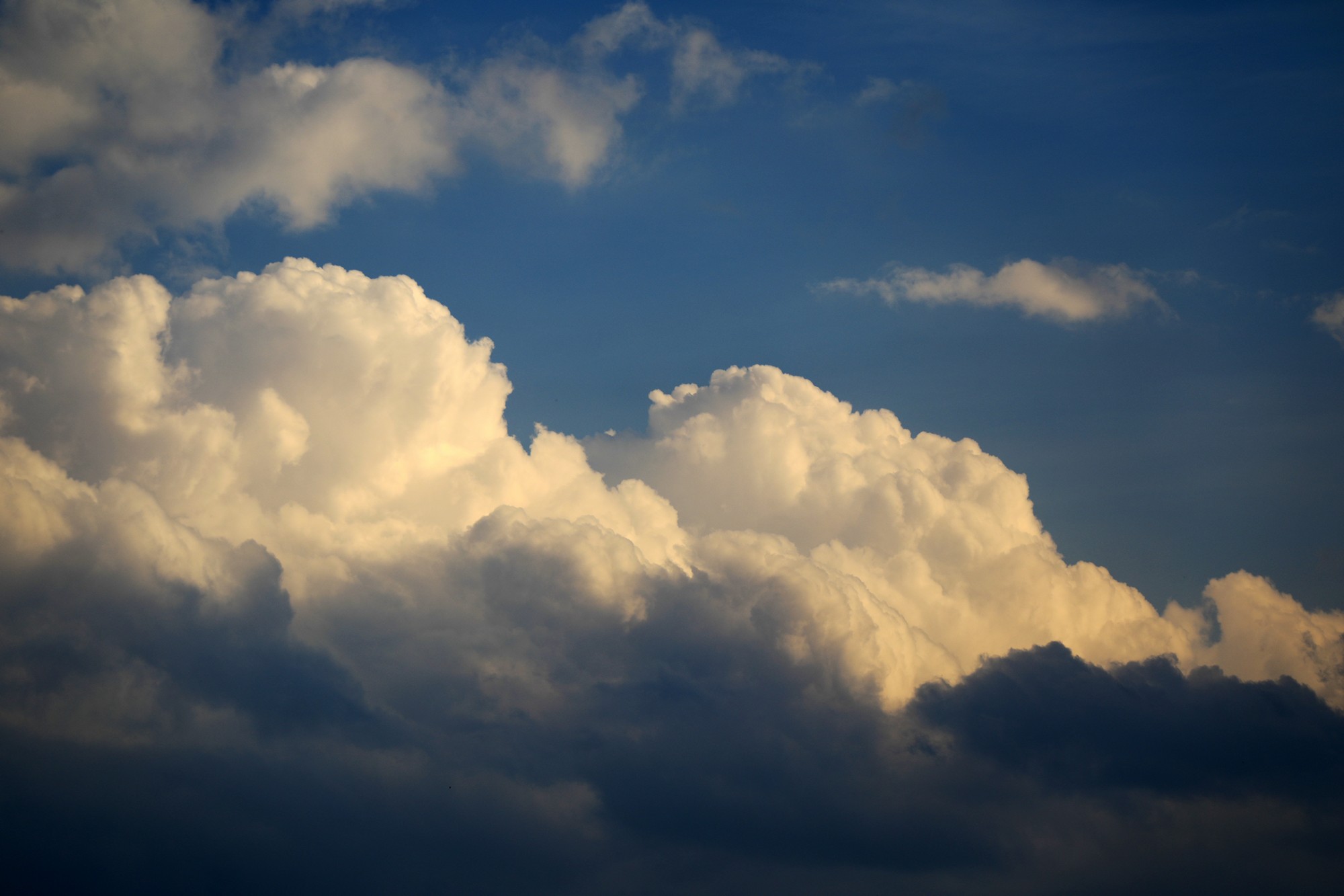 093A7833-2.JPG
